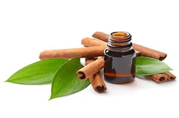 Cinnamon Oil